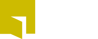 liins logo white 320x127px
